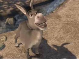 The awesomeness that is Donkey