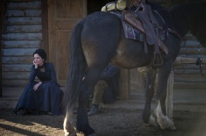 salvation green horse