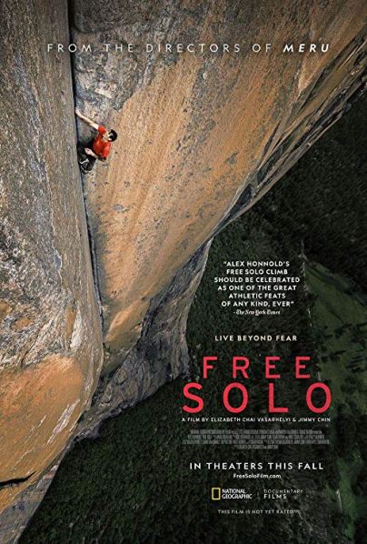 Free solo poster